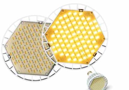 Lighten Up With Energy-Efficient Light Bulbs Image